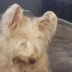 Meet your Posher, Renee